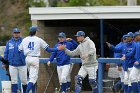 Baseball vs Babson  Wheaton College Baseball vs Babson during NEWMAC Championship Tournament. - (Photo by Keith Nordstrom) : Wheaton, baseball, NEWMAC